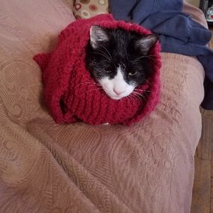 Meet your Posher, Pedro